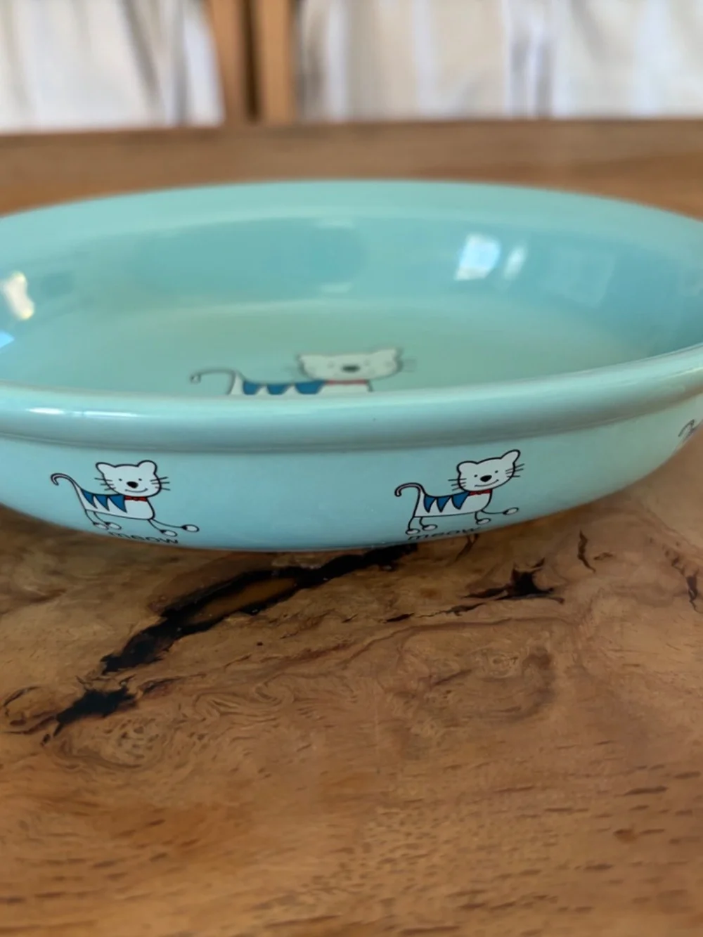 🐱 Whisker City “Meow” Cat Dish Bowl | Aqua Blue Ceramic Pet Bowl 🩵💚